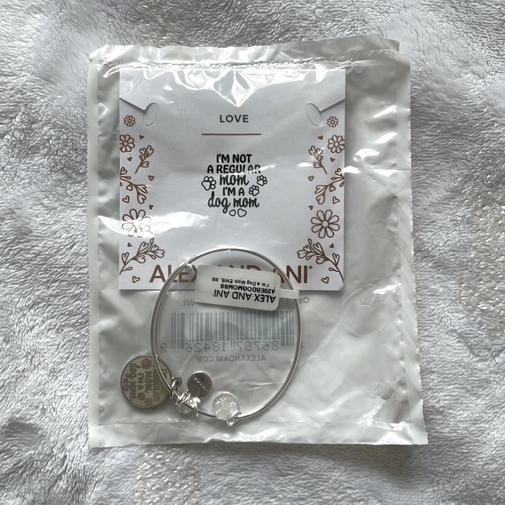 Silver Alex And Ani Bracelet